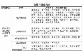 知識產(chǎn)權服務費計入什么會計科目,知識產(chǎn)權代理費計入什么會計科目,過節(jié)費計入什么會計科目