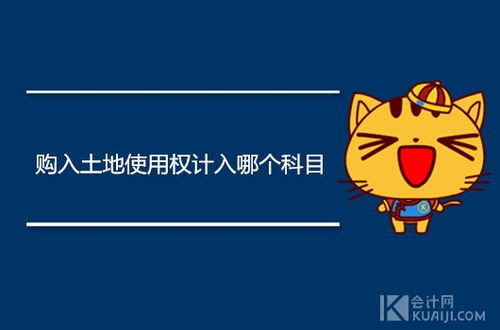 土地使用權(quán)屬于什么會(huì)計(jì)科目,土地使用權(quán)計(jì)入什么會(huì)計(jì)科目,土地使用權(quán)價(jià)值屬于什么會(huì)計(jì)科目