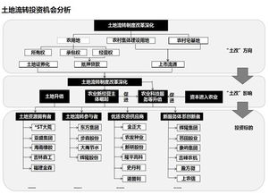 流轉(zhuǎn),農(nóng)村土地,會計科目