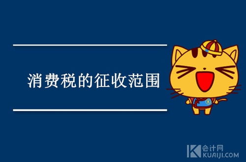 產品消費稅會計科目