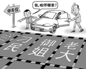 畫車位線入什么會(huì)計(jì)科目