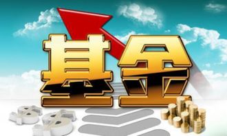基金屬于什么會(huì)計(jì)科目,固定基金屬于什么會(huì)計(jì)科目,專(zhuān)用基金屬于什么會(huì)計(jì)科目