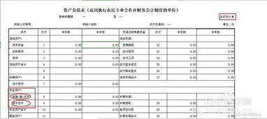 農(nóng)民專業(yè)合作社應(yīng)設(shè)置哪些會計科目