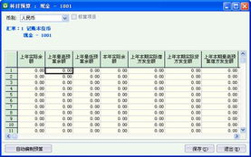 下設(shè),核算,會(huì)計(jì)科目,項(xiàng)目