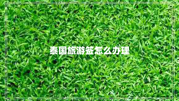 泰國(guó)旅游簽怎么辦理