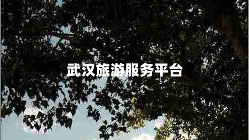 武漢旅游服務平臺