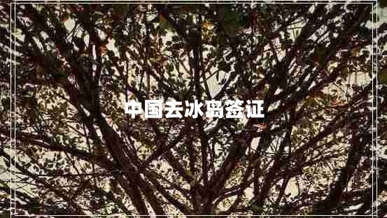 中國(guó)去冰島簽證