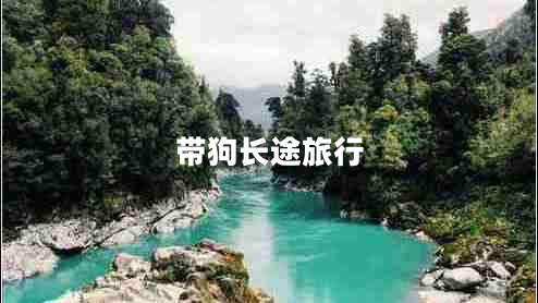 帶狗長(zhǎng)途旅行