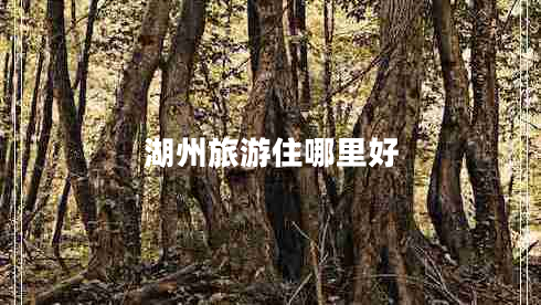 湖州旅游住哪里好