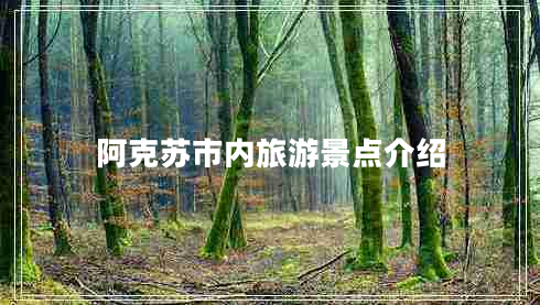 阿克蘇市內(nèi)旅游景點介紹