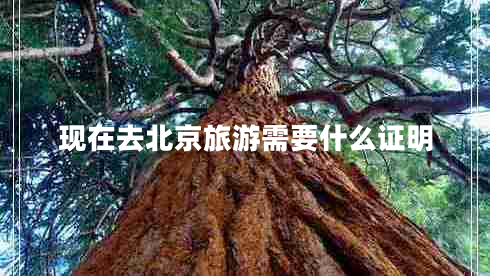 現(xiàn)在去北京旅游需要什么證明 現(xiàn)在去北京旅游需要什么證明
