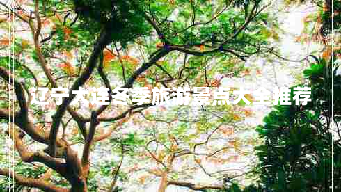 遼寧大連冬季旅游景點(diǎn)大全推薦 遼寧大連冬季旅游景點(diǎn)大全推薦