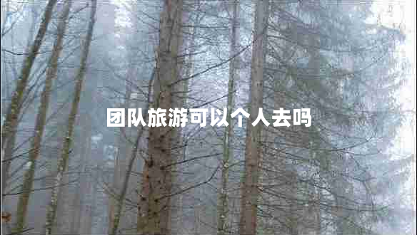 團隊旅游可以個人去嗎