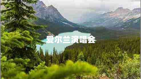 愛爾蘭演唱會(huì) 愛爾蘭演唱會(huì)