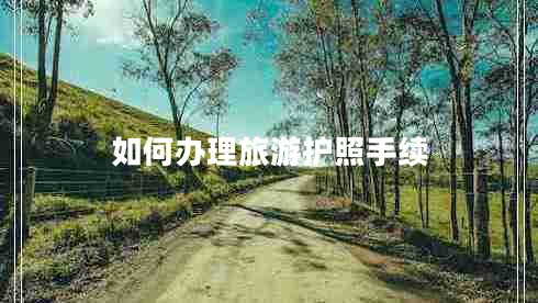如何辦理旅游護(hù)照手續(xù)