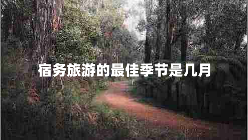 宿務(wù)旅游的最佳季節(jié)是幾月
