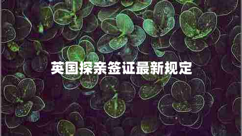 英國探親簽證最新規(guī)定