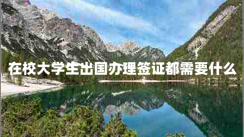 在校大學(xué)生出國辦理簽證都需要什么