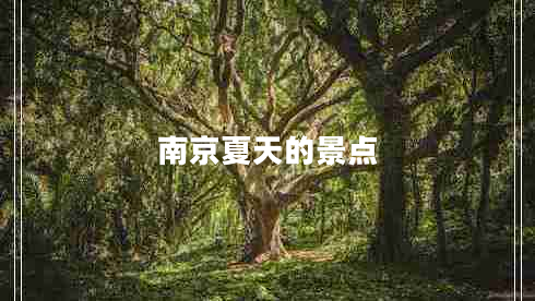 南京夏天的景點(diǎn)
