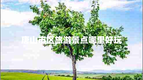 唐山市區(qū)旅游景點(diǎn)哪里好玩