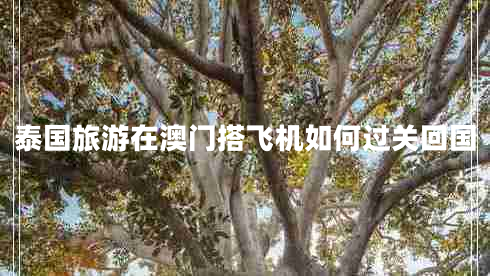 泰國旅游在澳門搭飛機如何過關(guān)回國