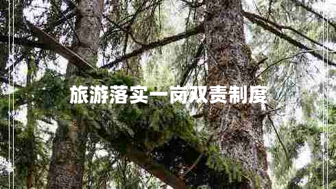 旅游落實一崗雙責制度