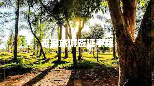 泰國(guó)旅游簽證手續(xù)