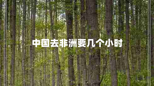 中國去非洲要幾個(gè)小時(shí)