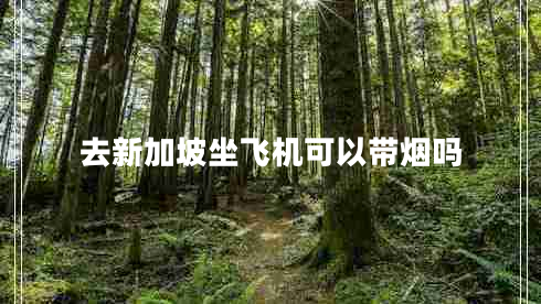 去新加坡坐飛機(jī)可以帶煙嗎 去新加坡坐飛機(jī)可以帶煙嗎