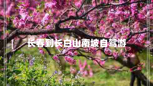 長(zhǎng)春到長(zhǎng)白山南坡自駕游