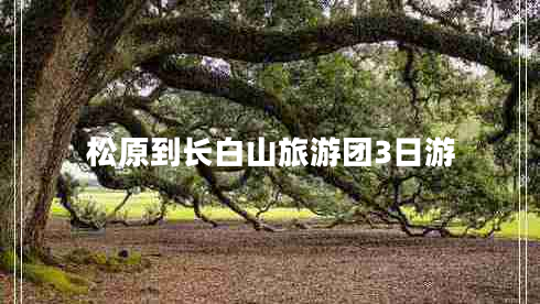 松原到長白山旅游團3日游