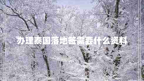 辦理泰國(guó)落地簽需要什么資料