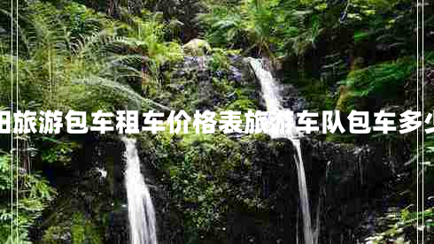 貴州貴陽旅游包車租車價(jià)格表旅游車隊(duì)包車多少錢一天