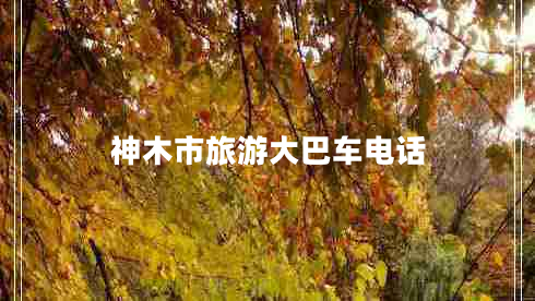 神木市旅游大巴車(chē)電話