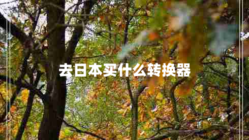去日本買什么轉(zhuǎn)換器