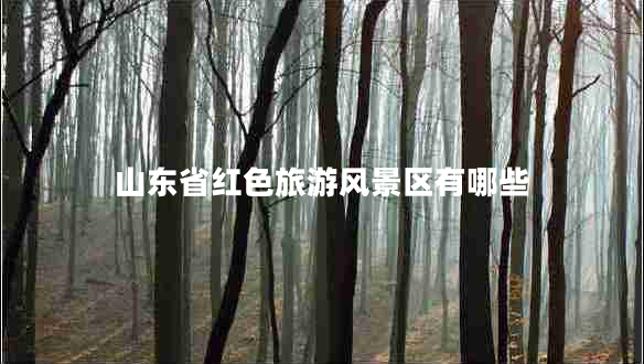 山東省紅色旅游風景區(qū)有哪些