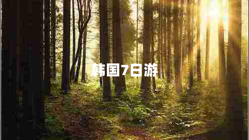 韓國(guó)7日游