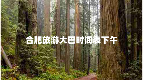 合肥旅游大巴時(shí)間表下午