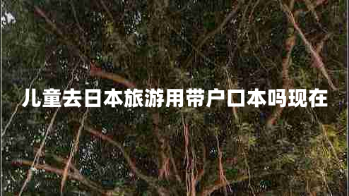 兒童去日本旅游用帶戶口本嗎現在