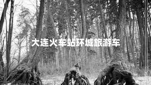 大連火車站環(huán)城旅游車