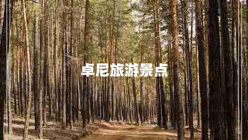 卓尼旅游景點
