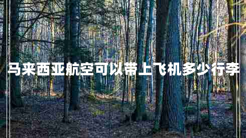馬來西亞航空可以帶上飛機(jī)多少行李