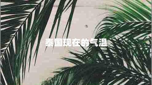 泰國現(xiàn)在的氣溫