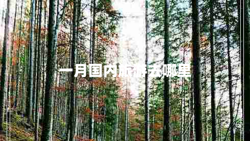 一月國(guó)內(nèi)旅游去哪里