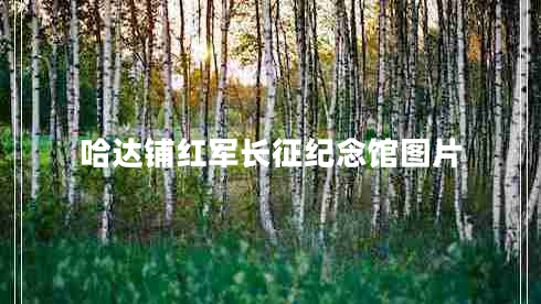 哈達(dá)鋪紅軍長(zhǎng)征紀(jì)念館圖片