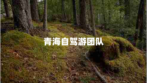 青海自駕游團(tuán)隊(duì)