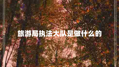 旅游局執(zhí)法大隊(duì)是做什么的