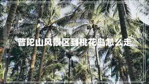 普陀山風景區(qū)到桃花島怎么走
