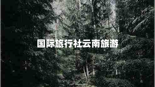 國(guó)際旅行社云南旅游