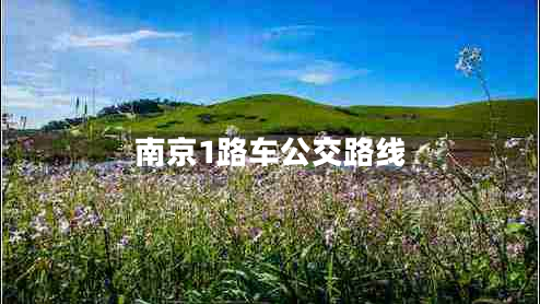 南京1路車(chē)公交路線